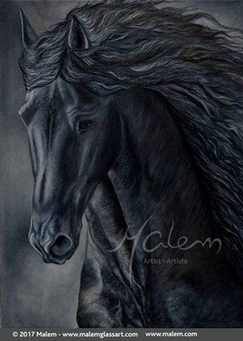 toile peintre cheval étalon art painting horse